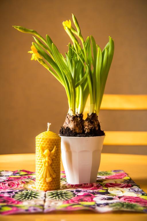 Medainie Apartamenti Liepāja Quarto foto