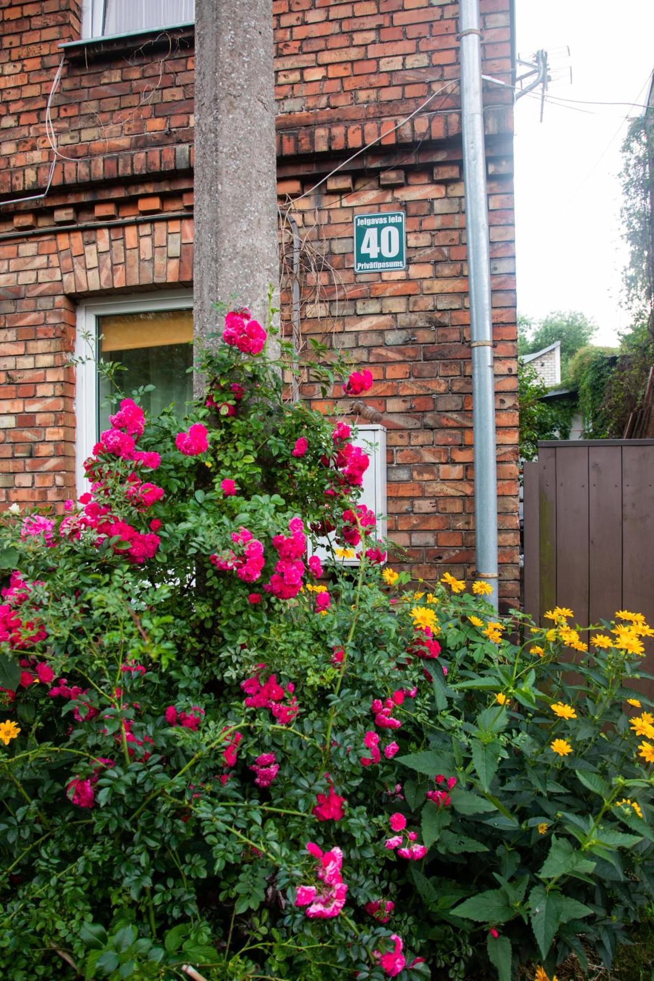 Medainie Apartamenti Liepāja Exterior foto